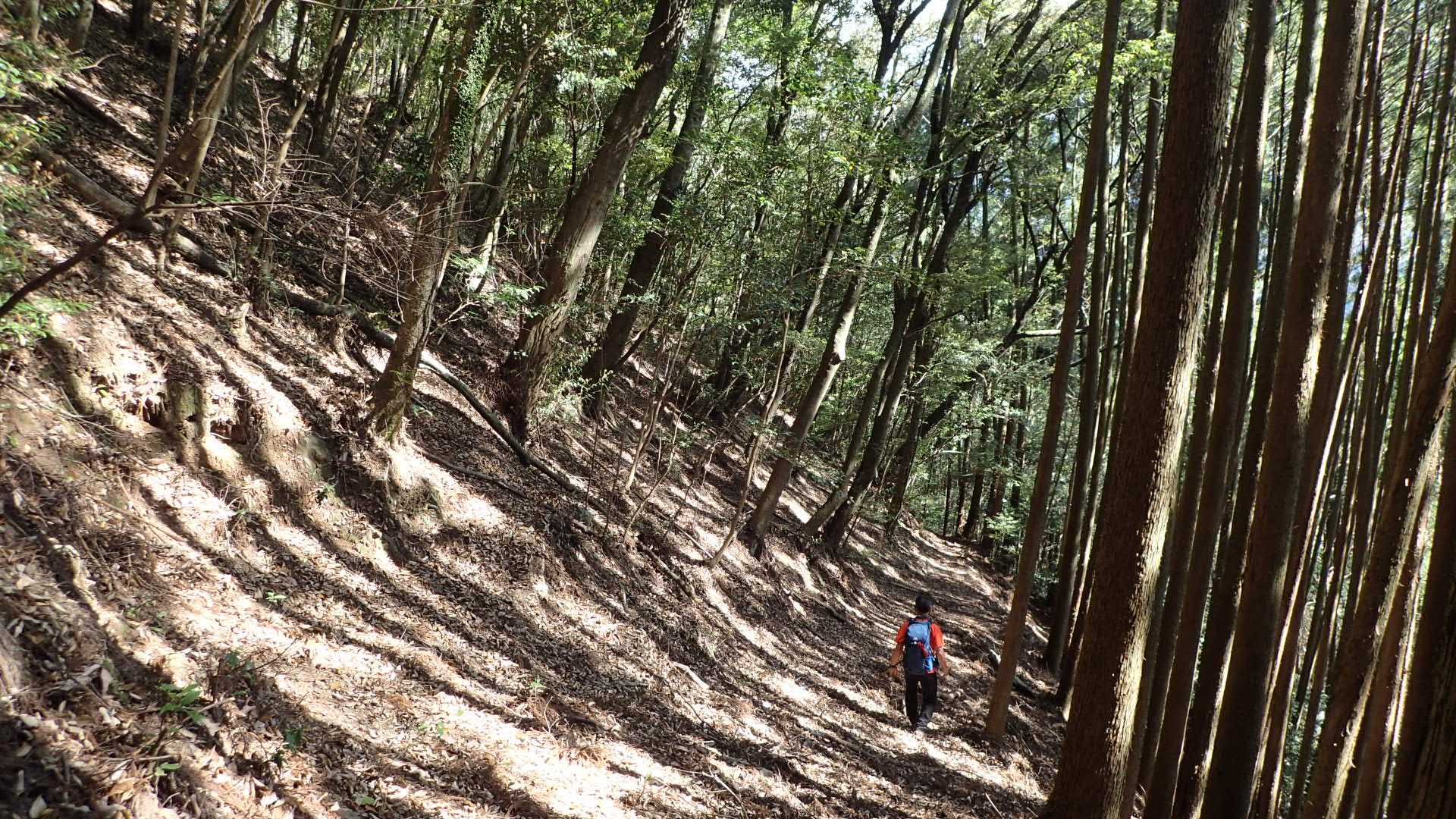 猪もいませんでした。人も一人もいませんでした。