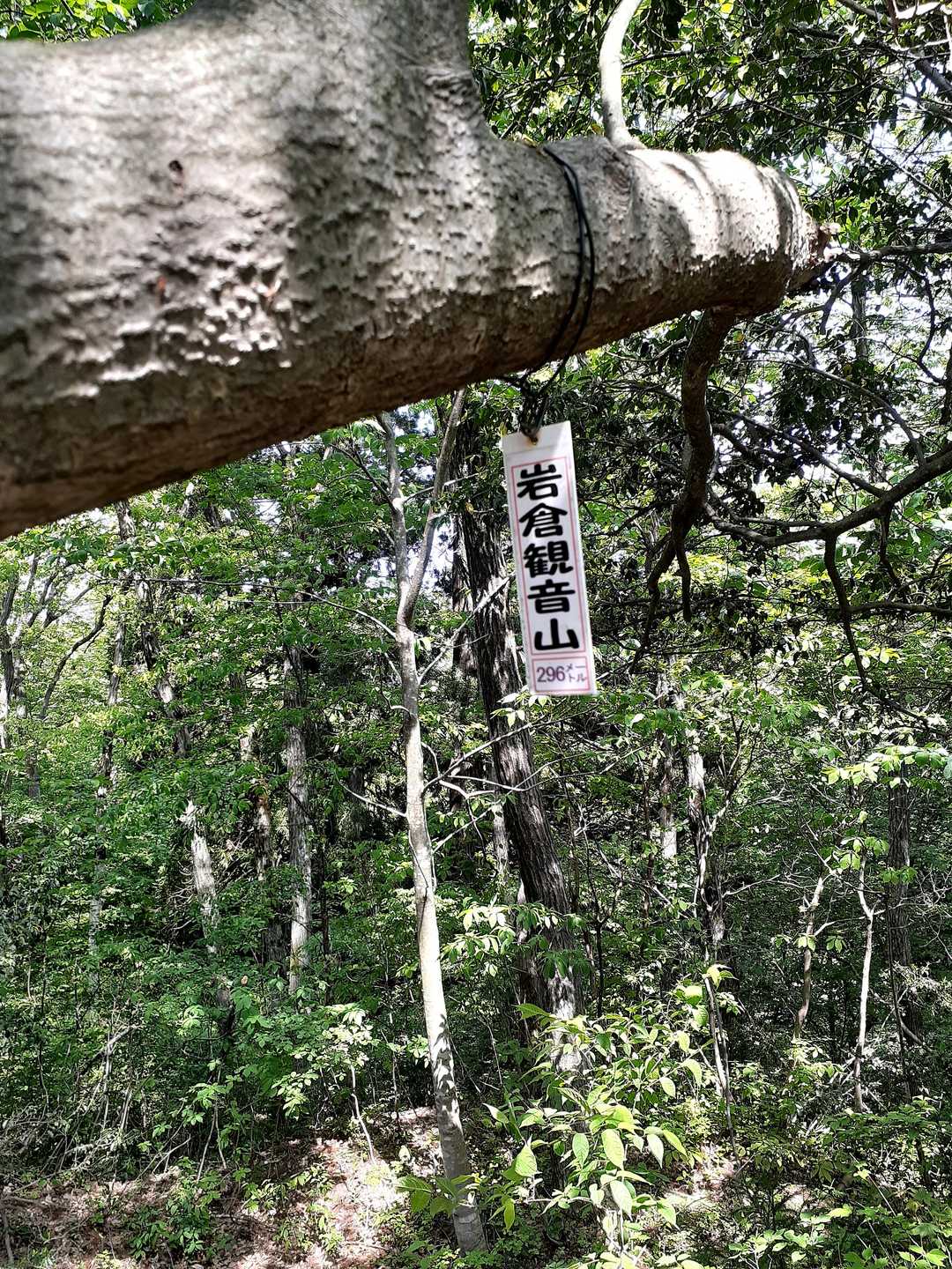 本丸土塁上に発見