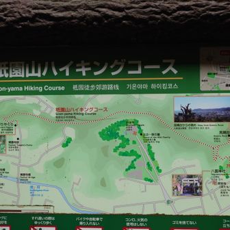 祇園山までで引き返してきた。次回はこのハイキングコースを歩いてみよう。