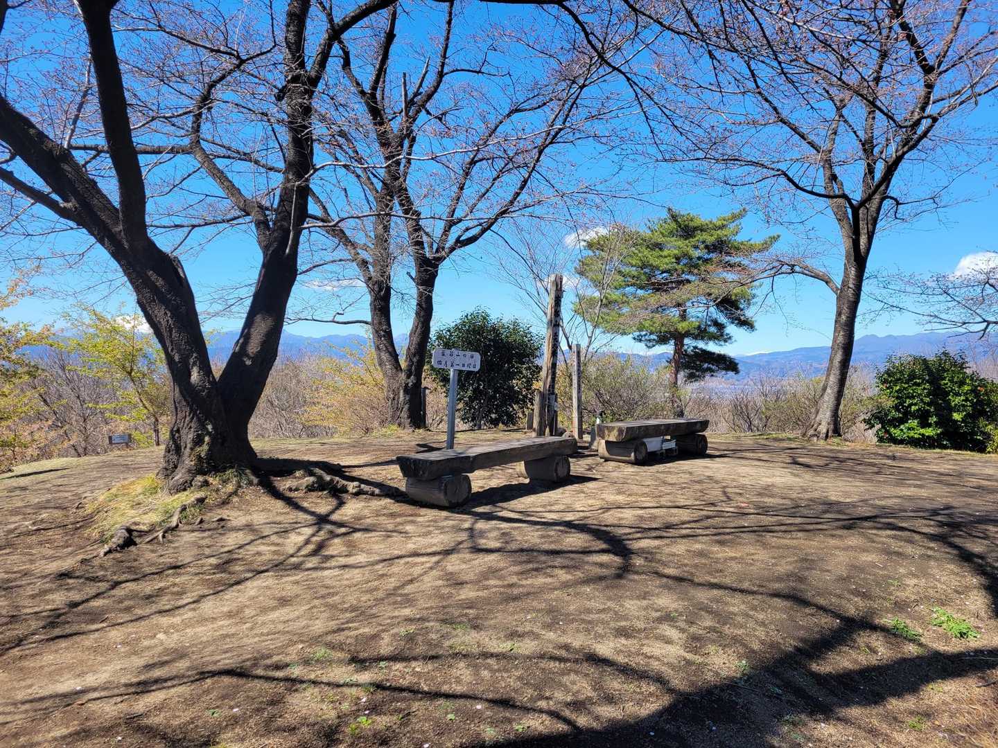 山頂に到着です！