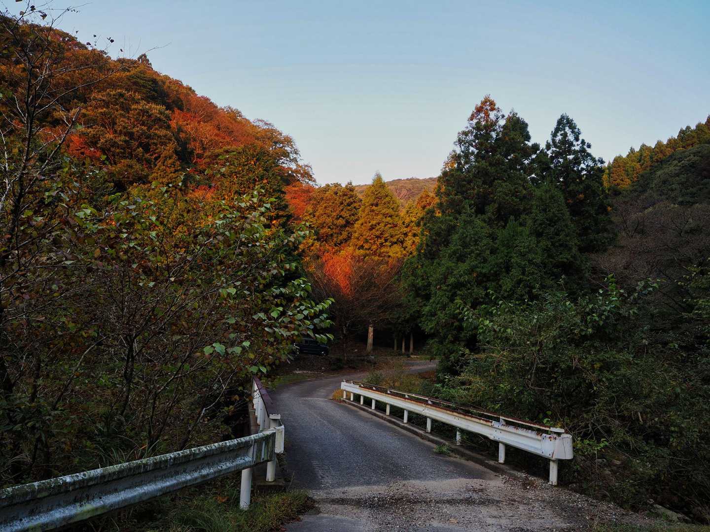 前に見える山の紅葉が朝日に照らされて更に赤く