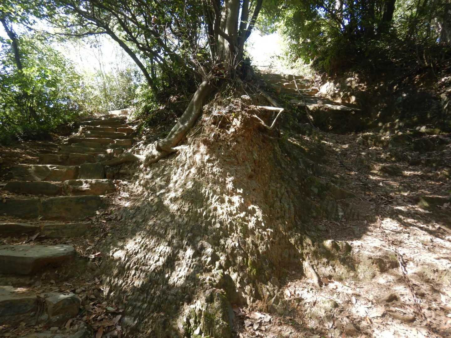 天覧山-多峯主山 周回コースの写真