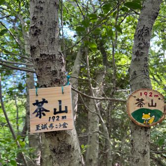 一つ目のピーク
