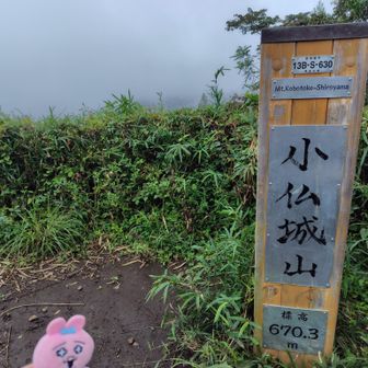 小仏城山も白い