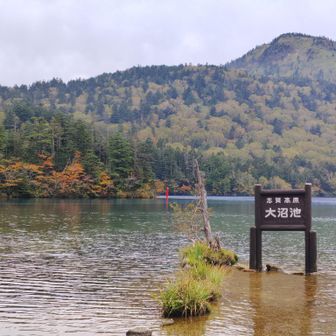 なんと裏志賀山がみえるじゃないですか。色付き始めの紅葉も素敵でした。