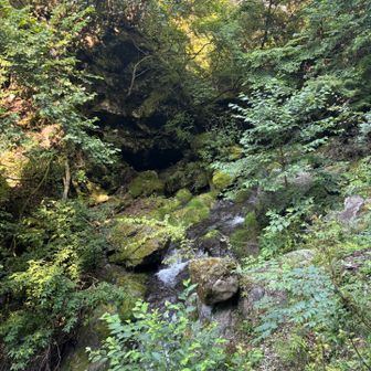 川沿いは涼しくて気持ちいい( ˶'-'˶)