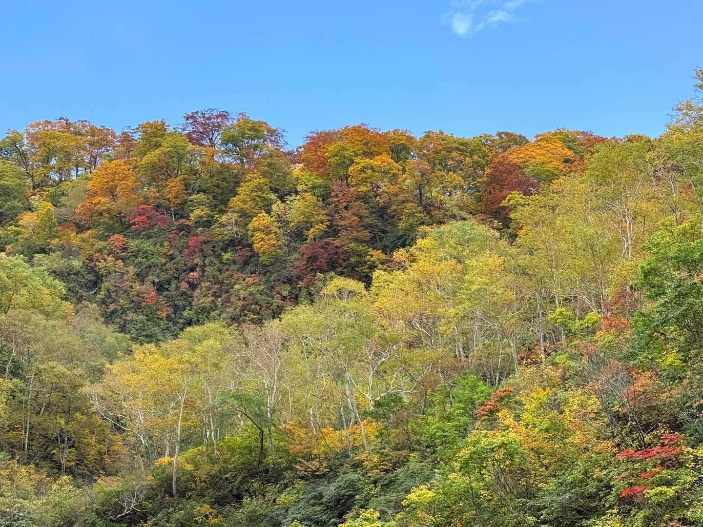妙高山（燕温泉） | 野天風呂に始まり、急登「胸突き八丁」と鎖場を越え越後富士への写真