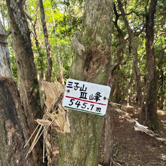 三子山Ⅲ峰
ここからルートミスしました