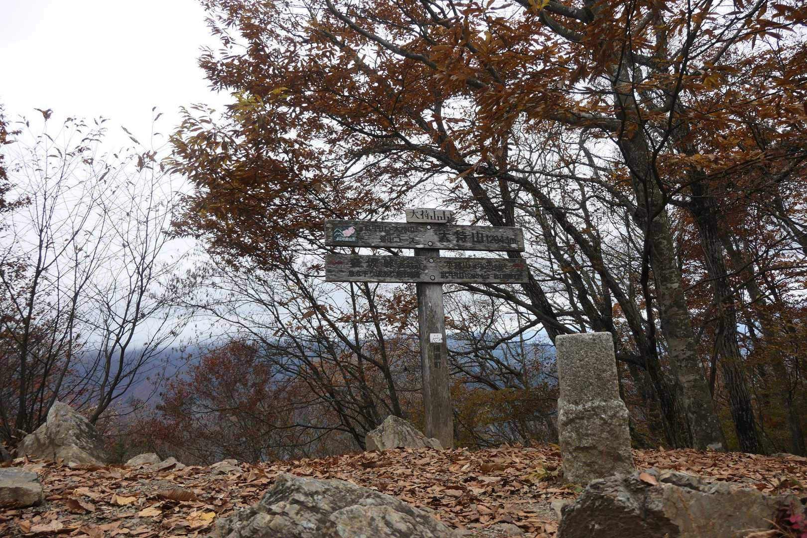 登り返して大持山到着。