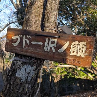 力強いフォントの山名版。

AR勘亭流Hかな？