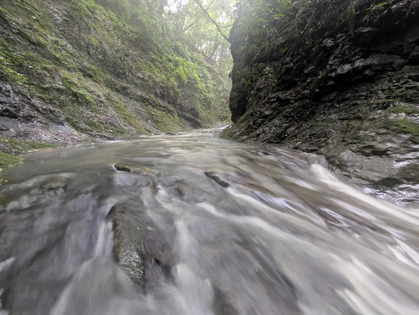 鎌倉古道 大塚山・三浦三良登山口-三浦三良山 周回コースの写真