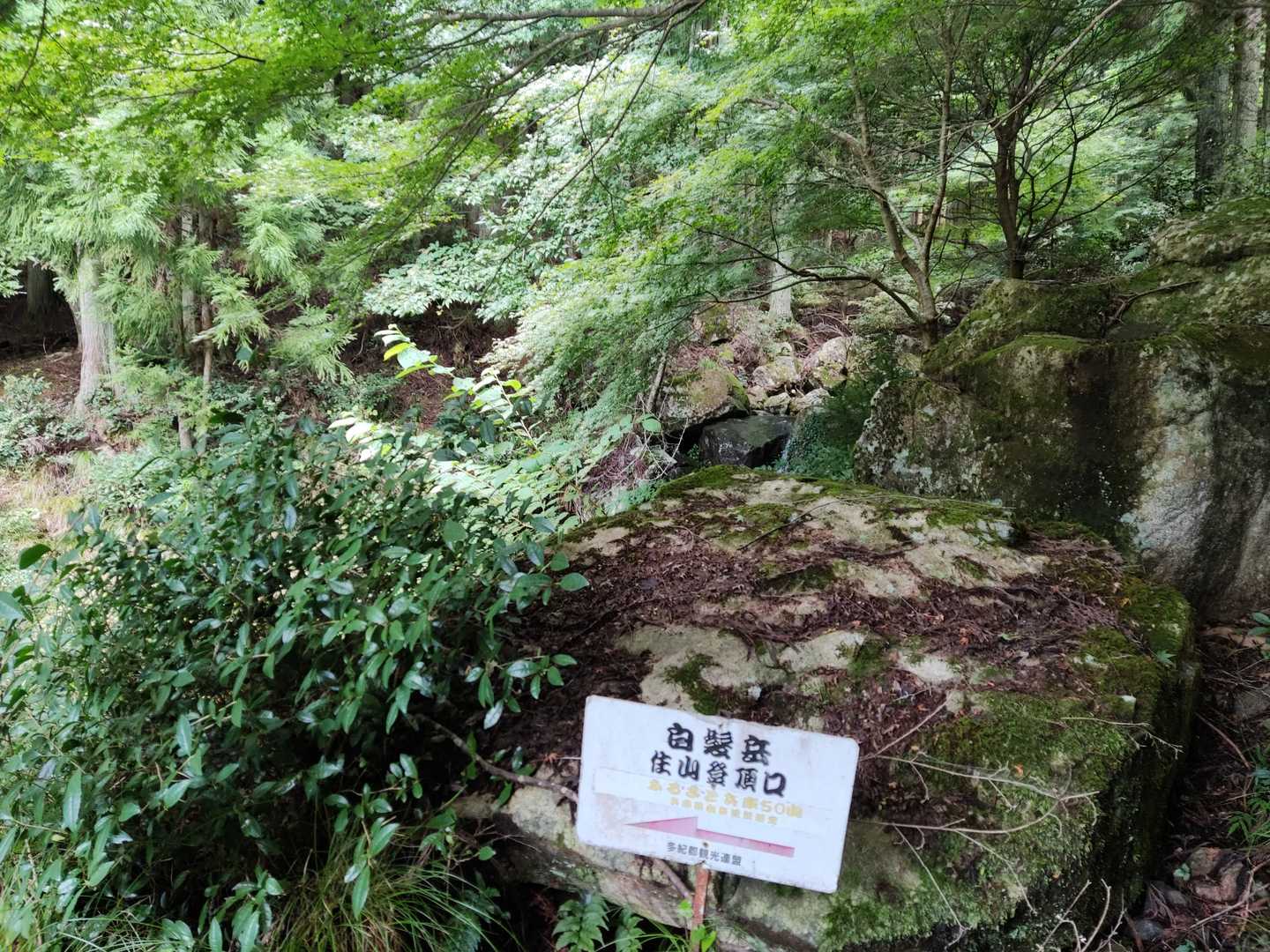 ここがようやく登山口でしょうか。