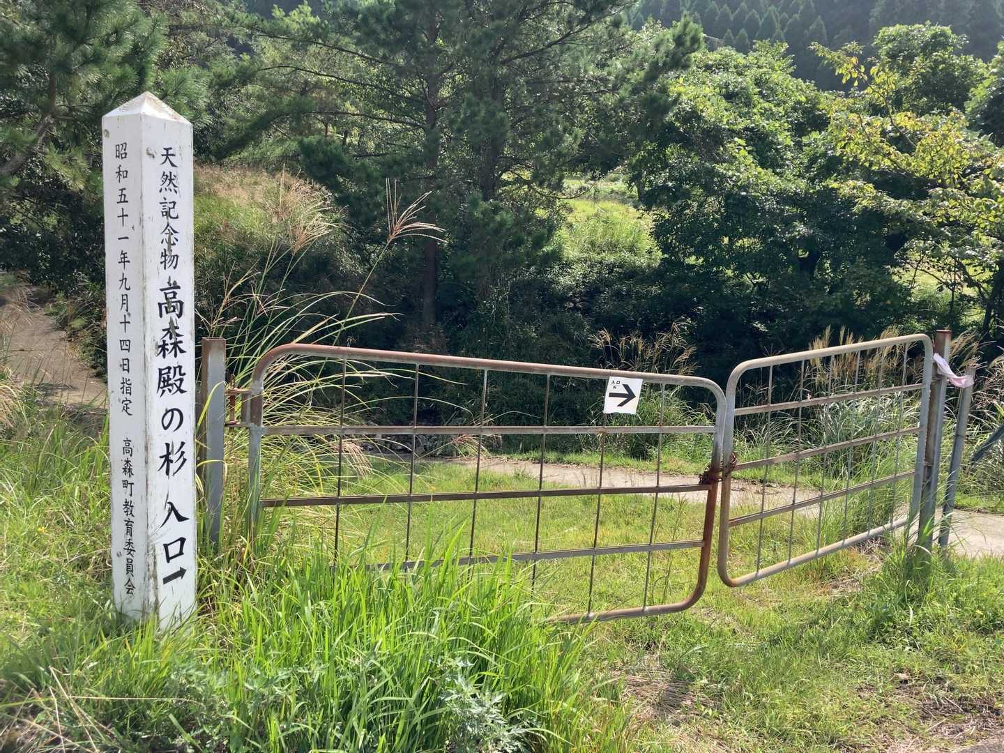こちらも。