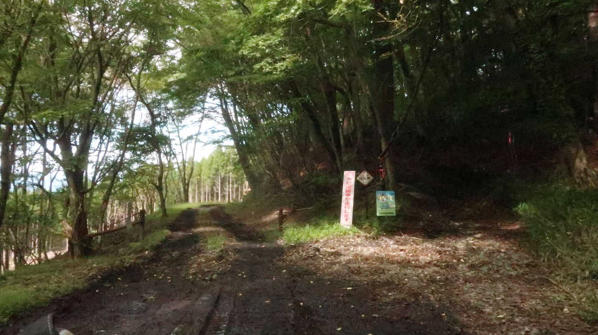 ここから右へ