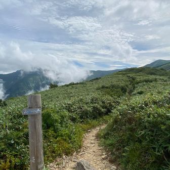 梶川峰🔺(1,692m)
この時点ですでに予定より大幅に遅れ気味😓