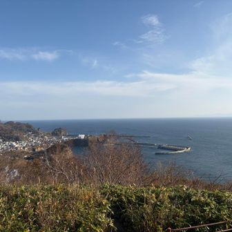 あ、景色はここもさいこーです💜