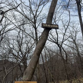 ちゃんと山頂標あるじゃ〜ん😊