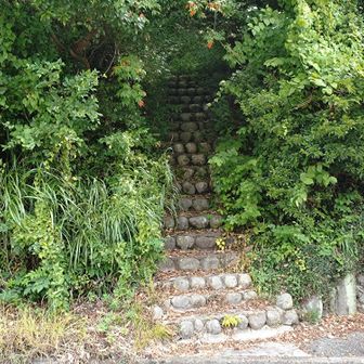 すぐ横から登ります