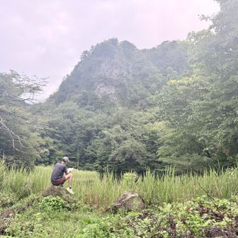 しっぽり大池