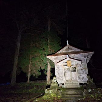 寒さは然程ではない鳥坂神社