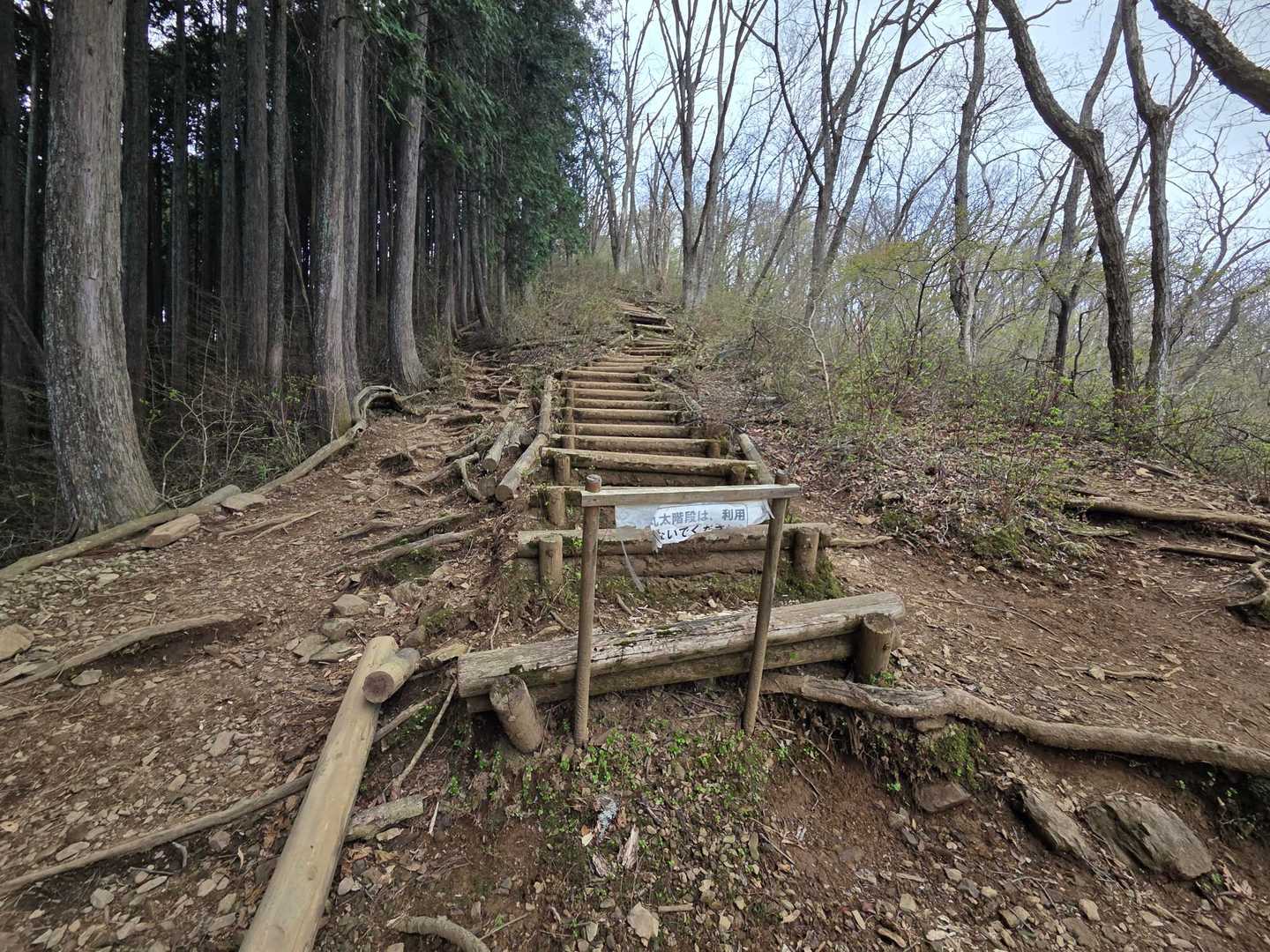 階段が朽ちていて「使わないで」って書いてあったから、右に進んだら巻き道でした😅
帰りに「権次入峠」に寄ります