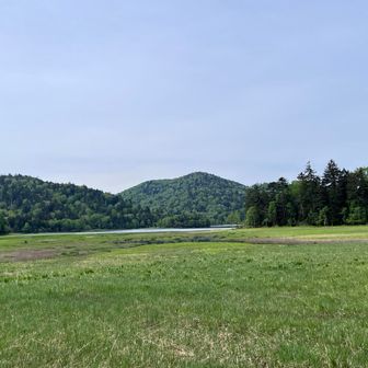 大江湿原