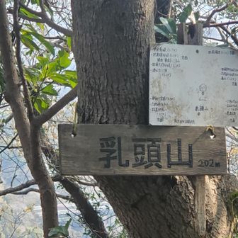 乳頭山頂き。山頂付近だけポッコリ急登攀です。名前の由来かな。。