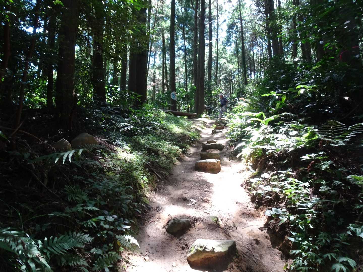 粘土質の土です
雨上がりだと、滑ります