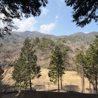 今回はお山にも登ったよ😁
展望台からの眺め✨
湿原が見渡せる♪