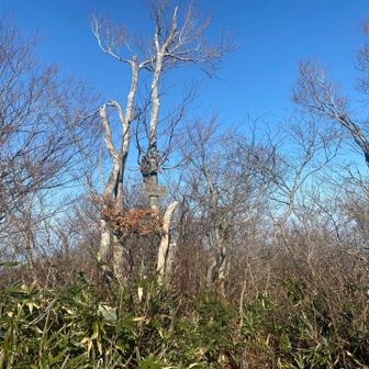 蛇尾山　青空がいい感じ