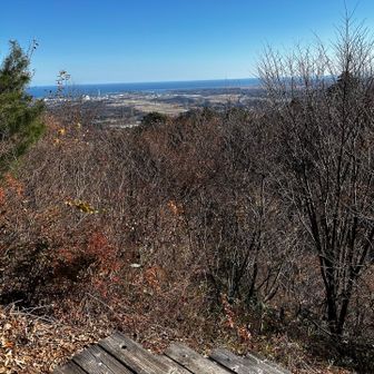 展望台は微風で陽射しが暖かく
2時間近くまったりとおしゃべり😆
