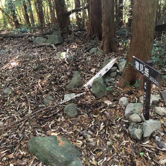 猪見岳(ししみだけ)山頂