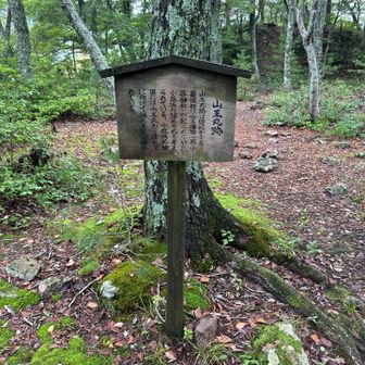 ココが小谷城で1番高い所です