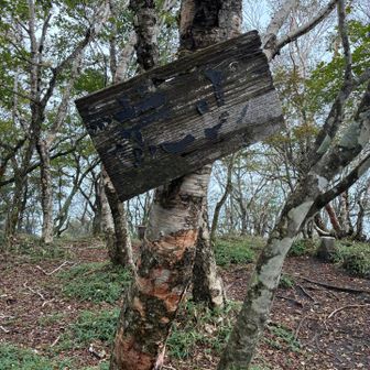 荒山到着〜！今日は霧で展望は望めませんでした〜💦