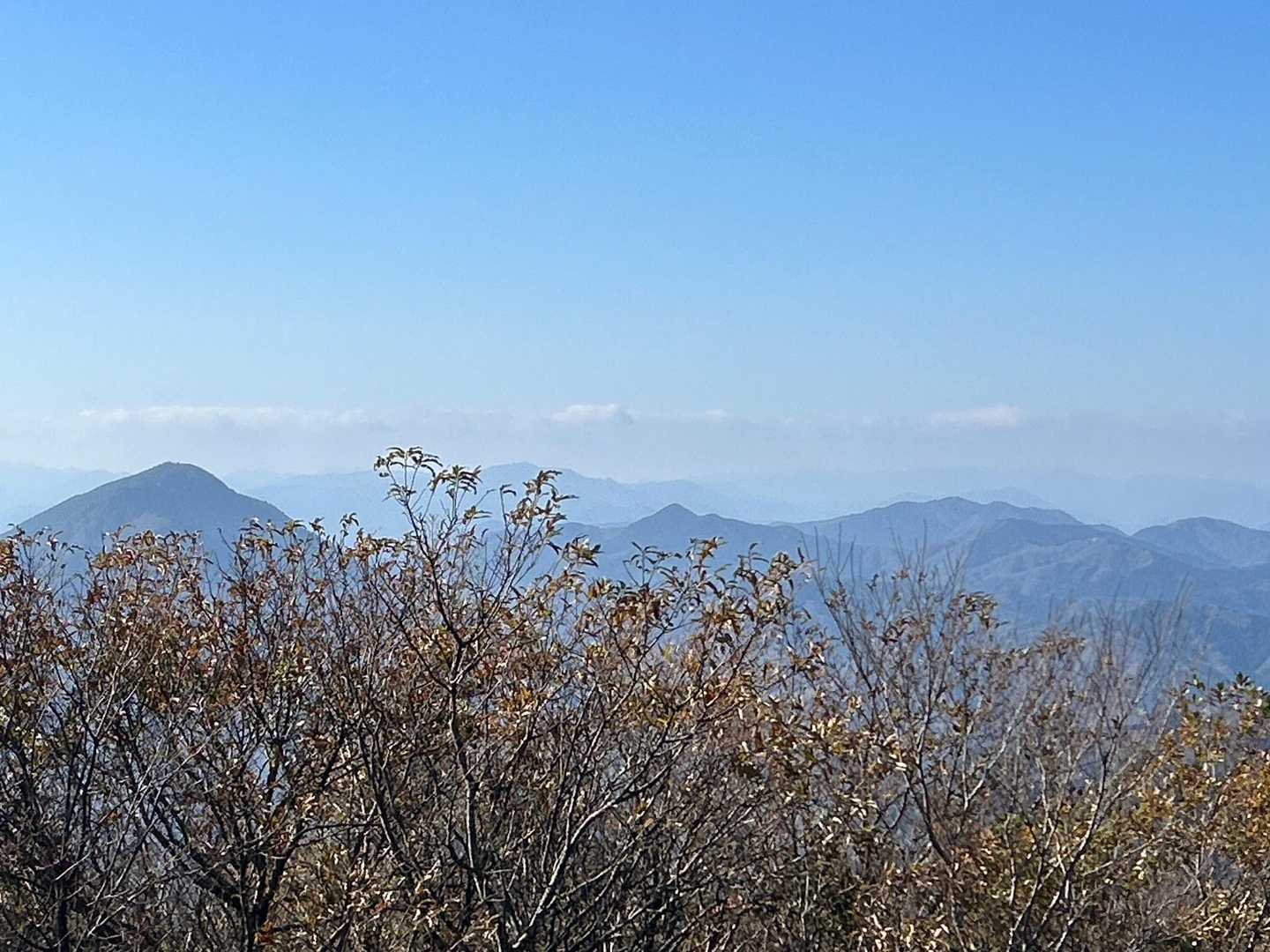 大江山 往復コースの写真