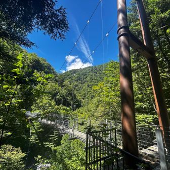 千枚小屋から吊り橋までの地獄の林道ガチきつかったもうムリムリ行かないよ