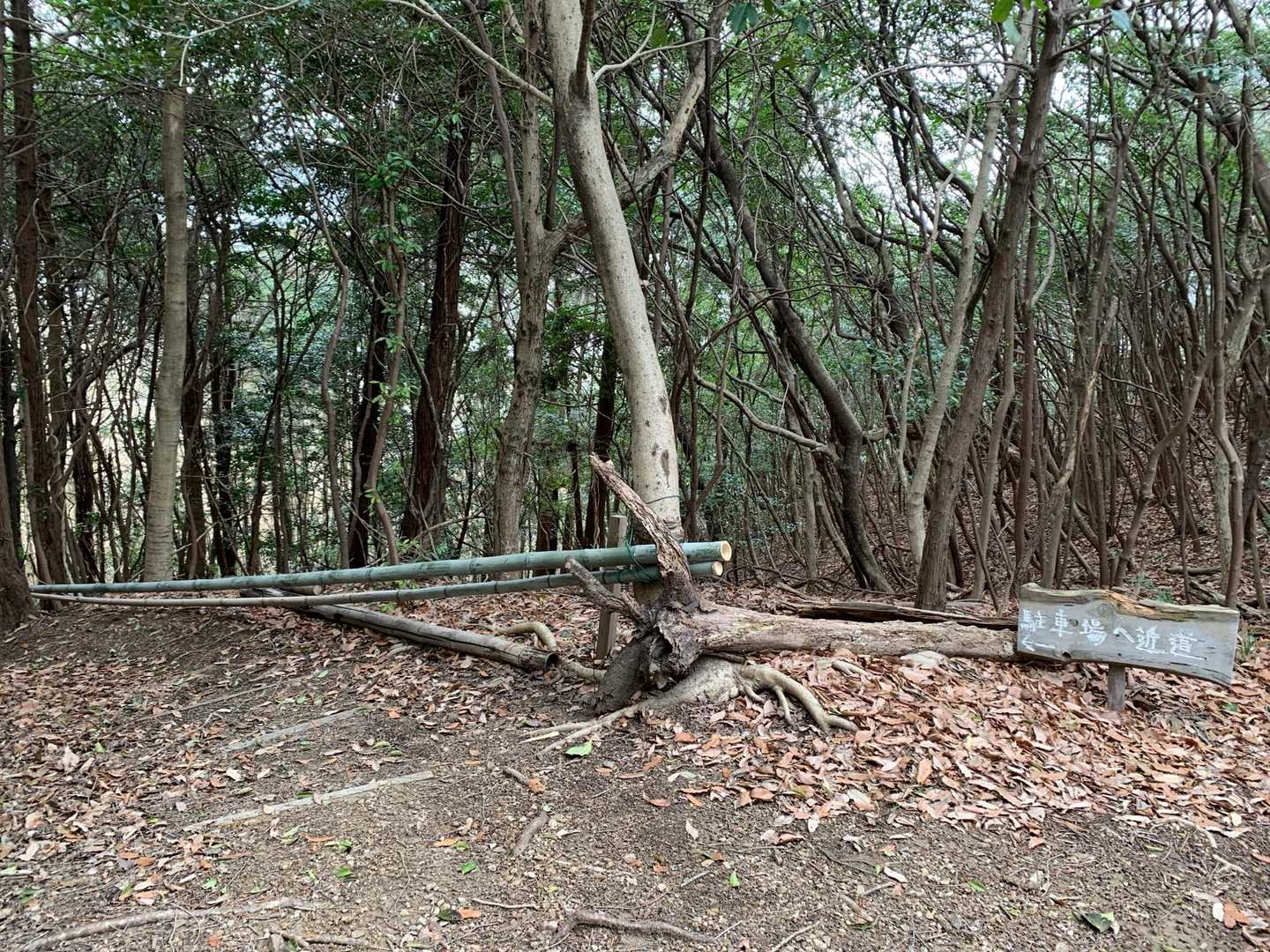 竹の柵が新しく設置されています🎋