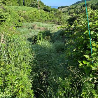登山口から少し歩くと
ピンテが付いた棒。
右折すると
少し藪っぽい下り坂。

黒土が始まり
滑りやすい。
気をつけて。
正面に見える電柱へ
登り