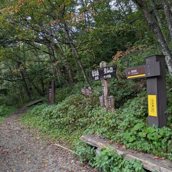 タクシー降りてから40分ほど歩いて一の沢登山口に到着🚶