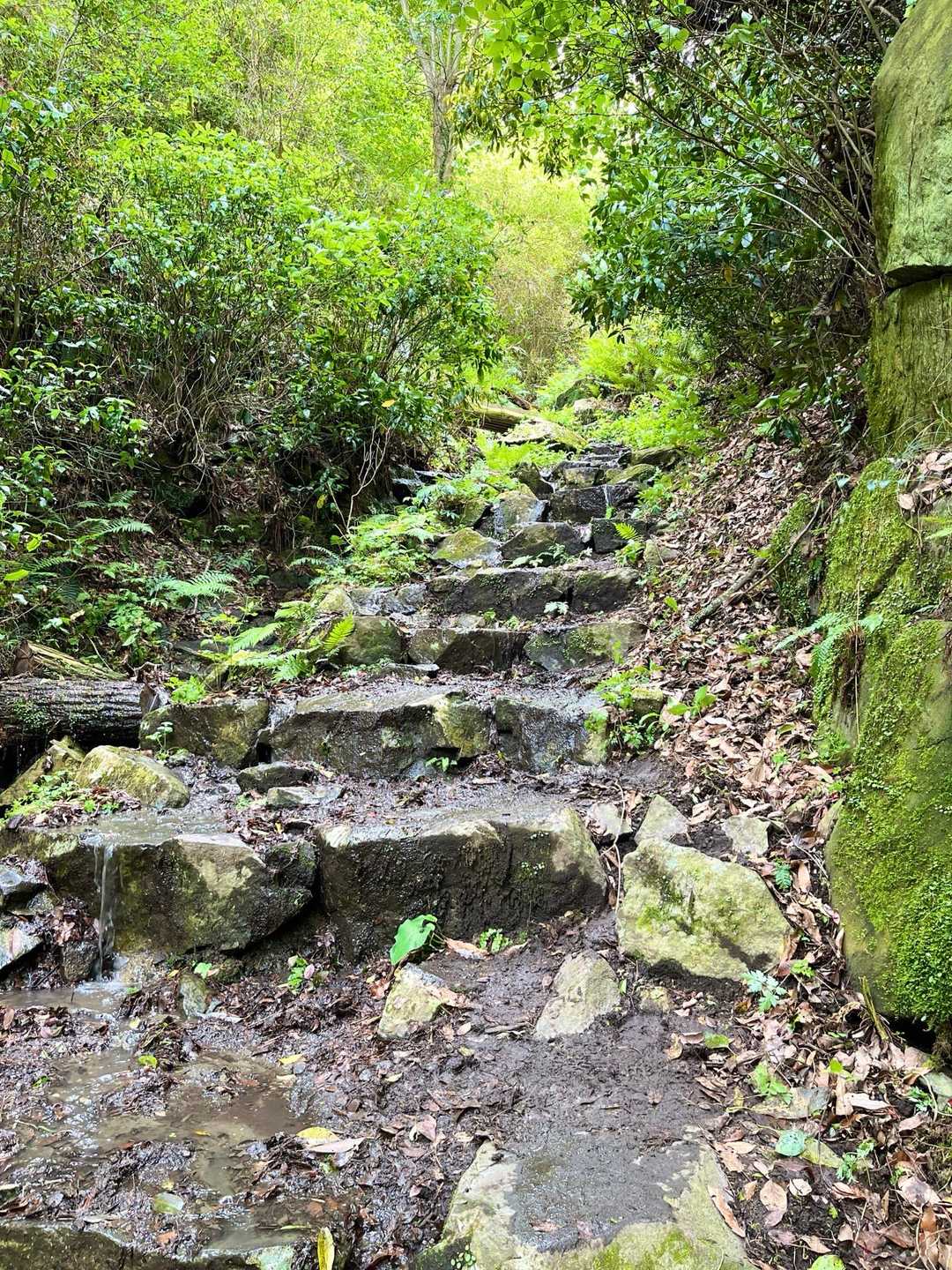 遊歩道が河になっていました