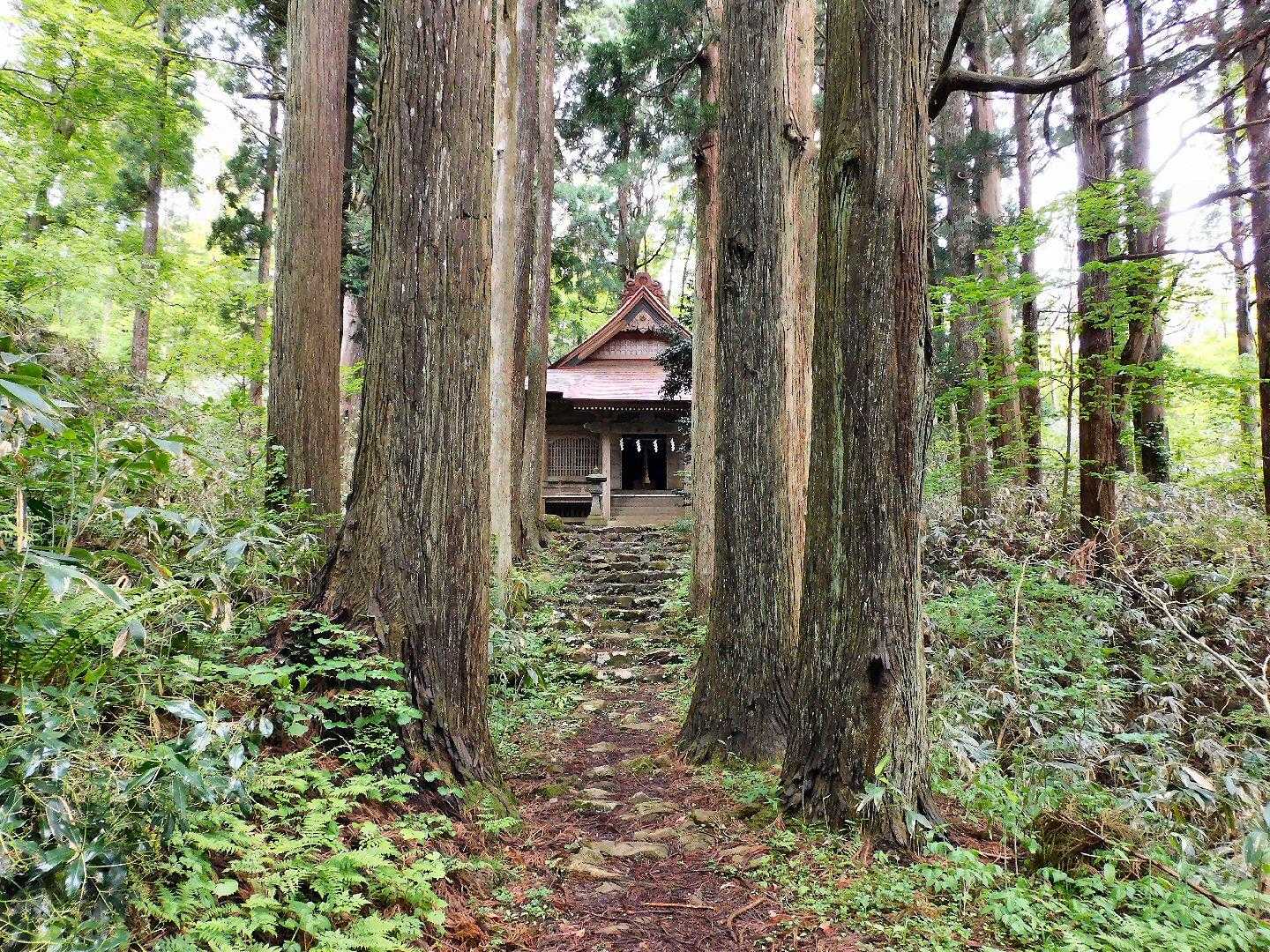 新山神社五社殿