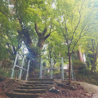 時間早くて、ここからお参り
