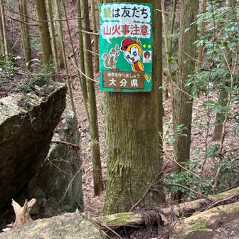 火の用心標識調査

八合目から九合目の間標識アップ