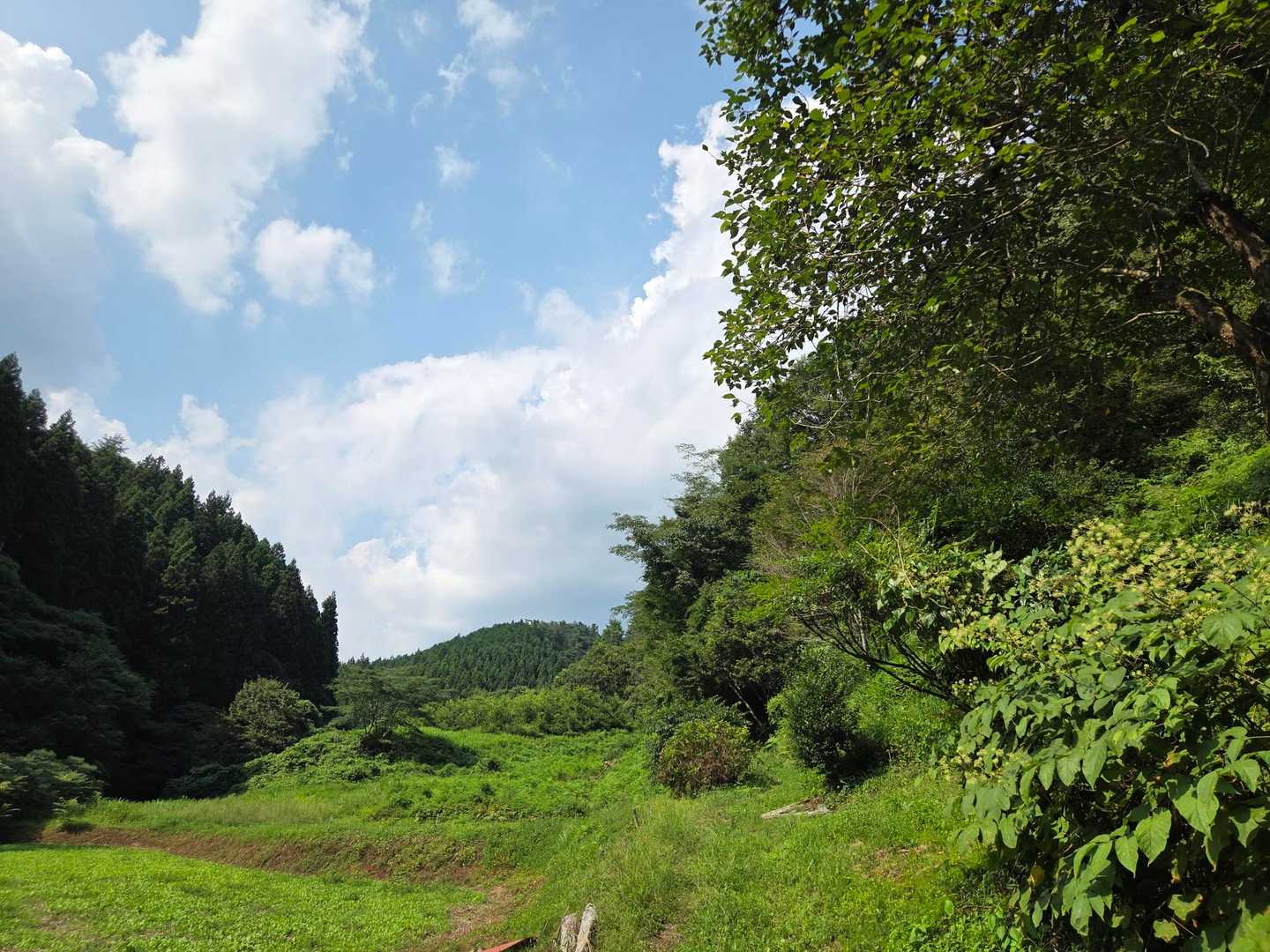 駐車場はだーれもいない。そりゃそうか😅
暑いけど、行ってみよー