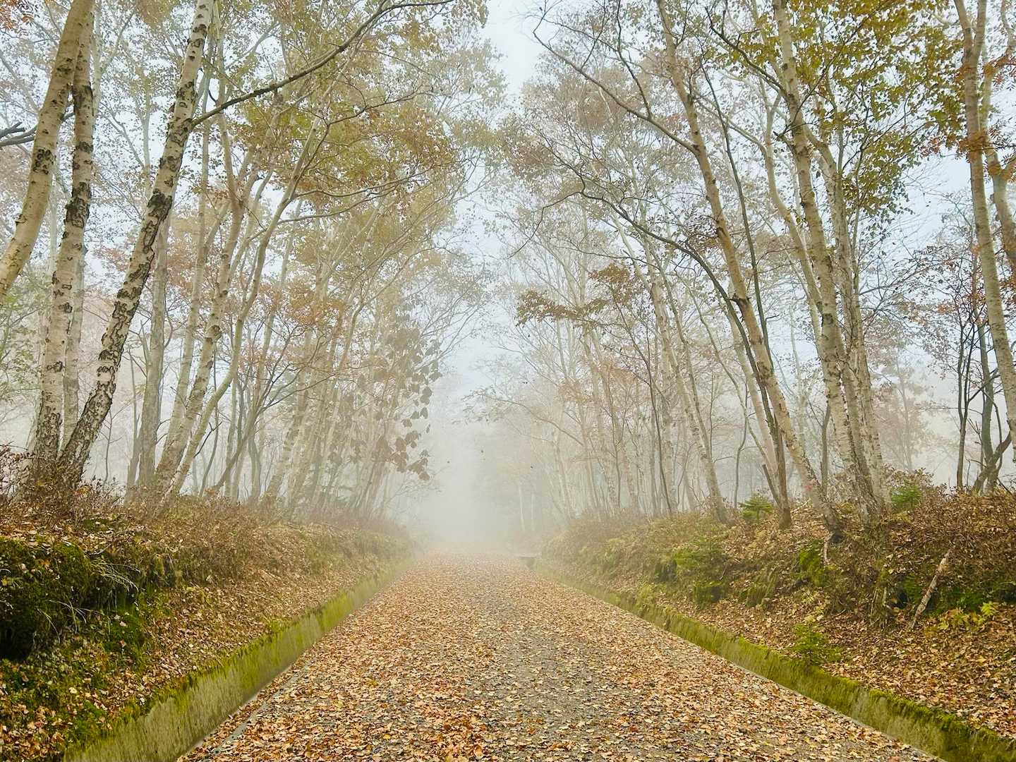 雨の中下山。何か幻想的✨️