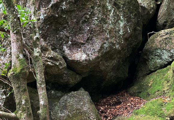 多良岳（佐賀・983m）| 登山ルート・天気 | YAMAP / ヤマップ