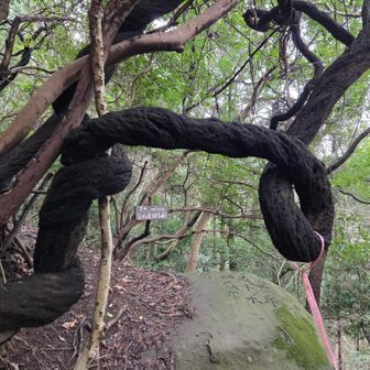 うねりが良いのよ