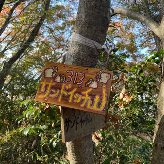 枚方の最高峰⛰️