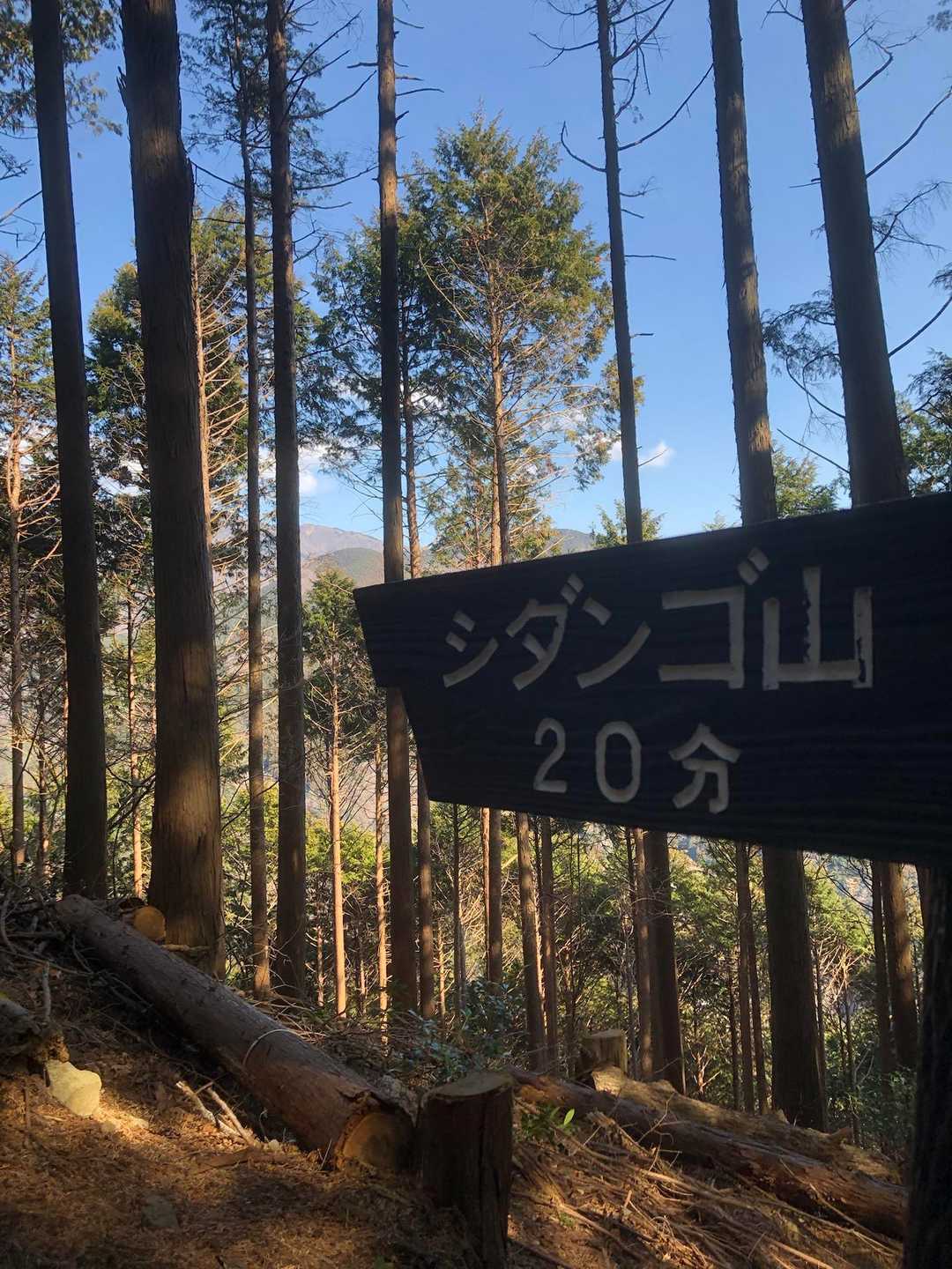 あと少し〜🚶