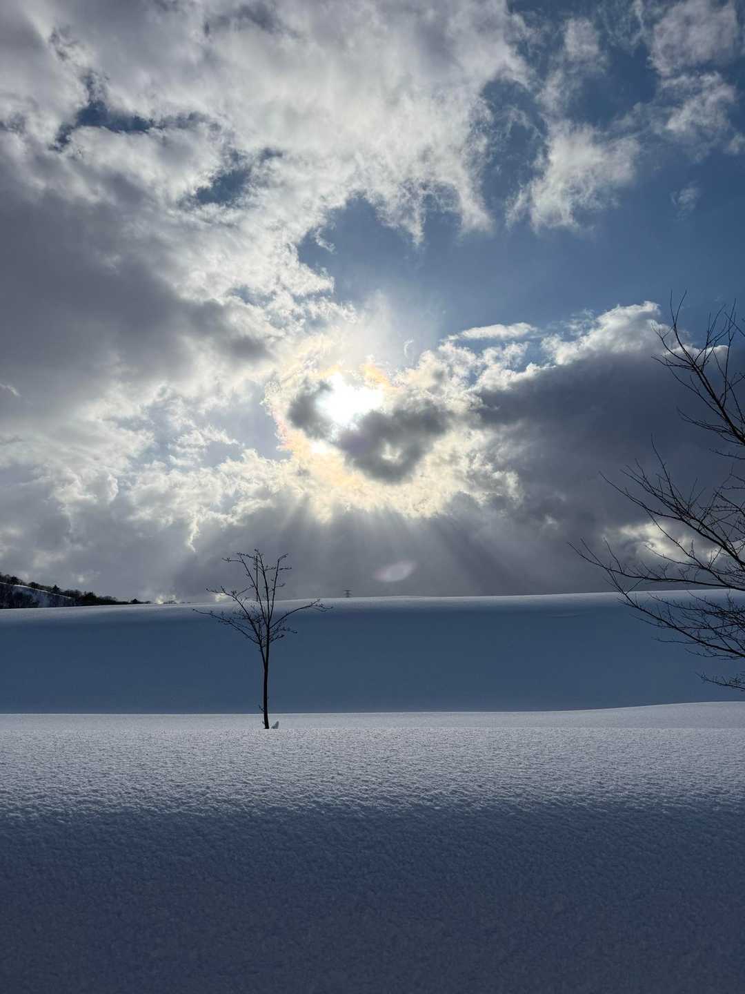 わぁ、お日様キラキラ✨✨